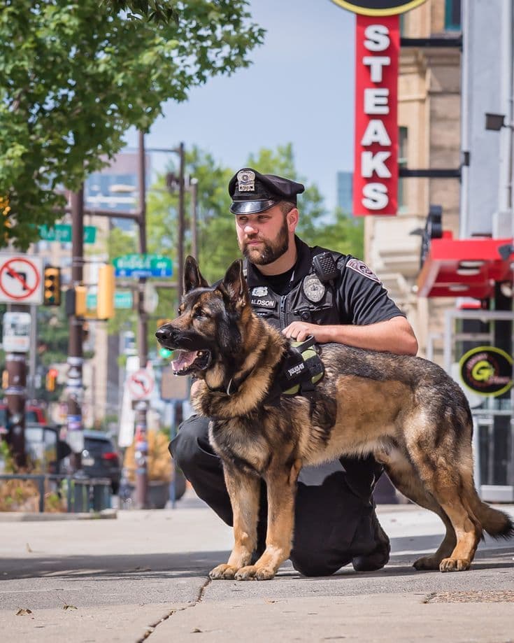 Nasdu certification - BizGrow Holdings Ltd