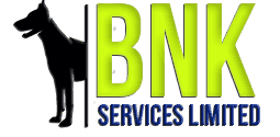 BNK Services | BizGrow Client