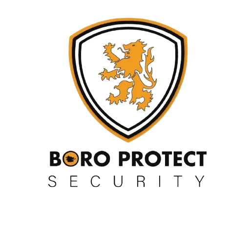 BORO-removebg-preview