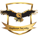 eagleeye security-PhotoRoom.png-PhotoRoom